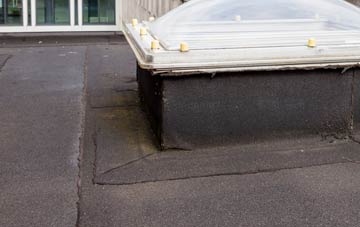 disadvantages of Archdeacon Newton flat roofs