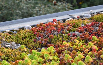 the cost of Archdeacon Newton green roof installation