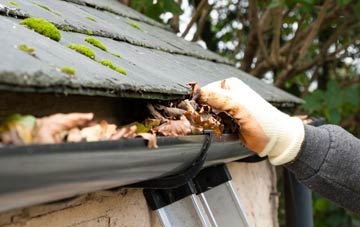 gutter cleaning Archdeacon Newton, County Durham