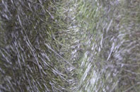 Archdeacon Newton fibreglass roof work